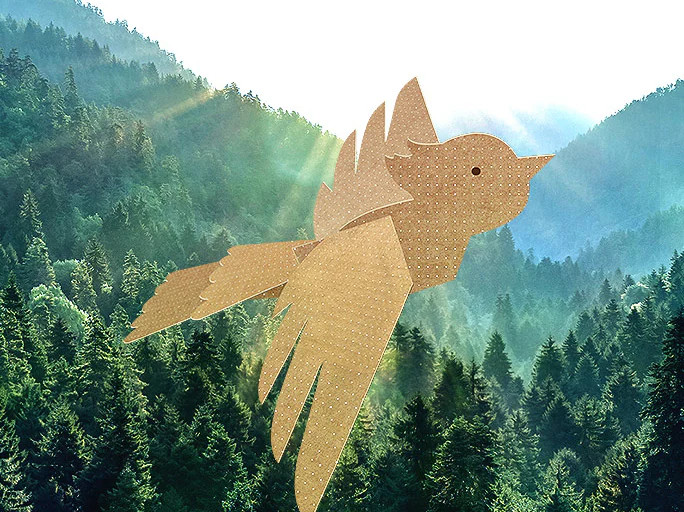 story image1